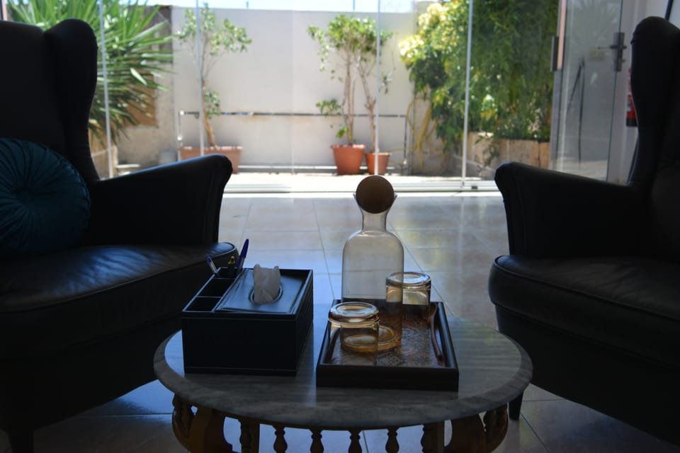 Vista interior hacia el patio con plantas